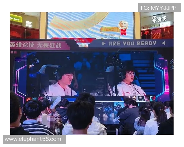 订阅制观赛新体验付费会员畅享无广告与多视角观赛乐趣